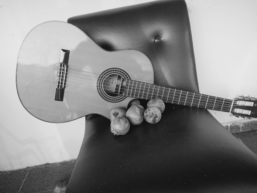 Tribunal de Contas suspende show milionário no Bico do Papagaio