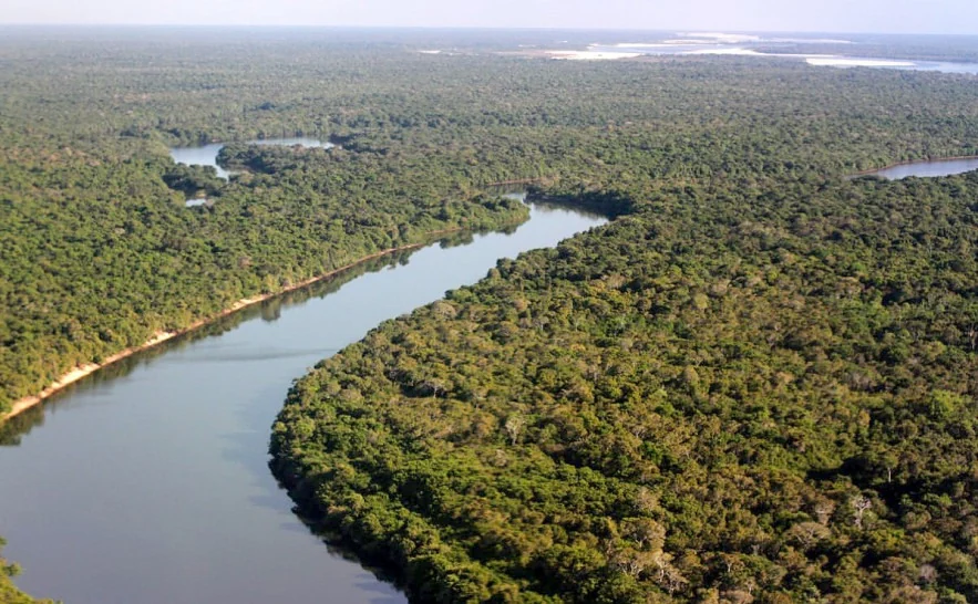 Plano integrado provoca queda histórica das queimadas no Cantão em 2025