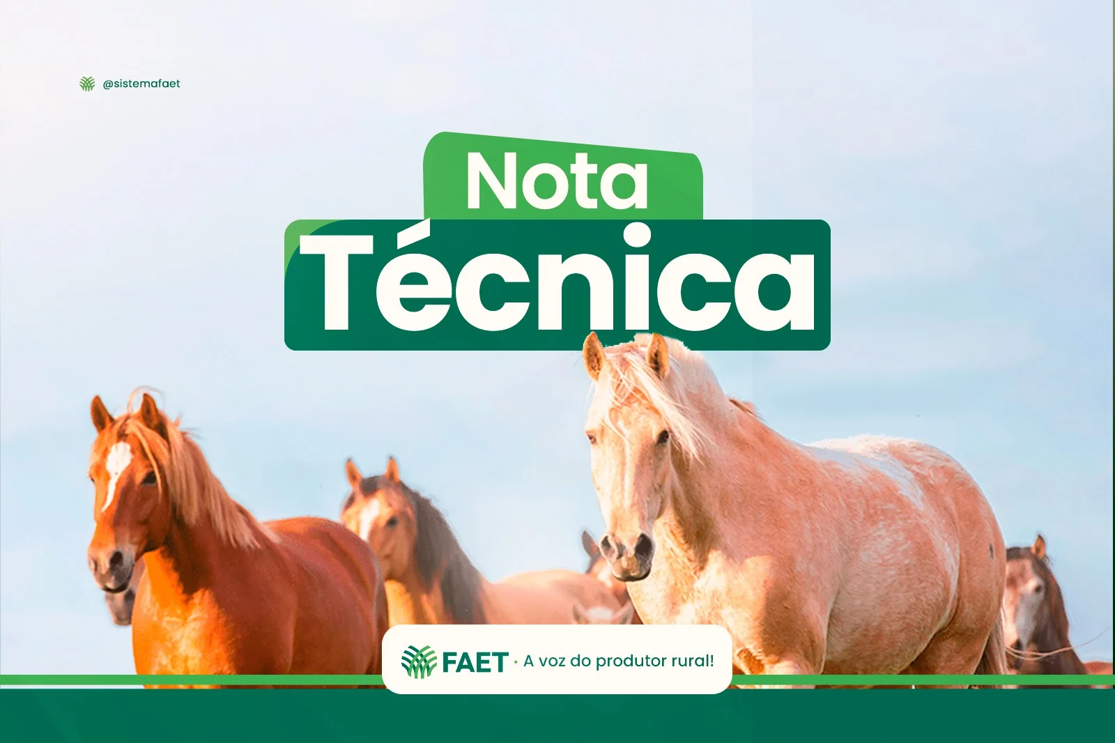 FAET divulga Nota Técnica sobre Influenza Equina no Tocantins