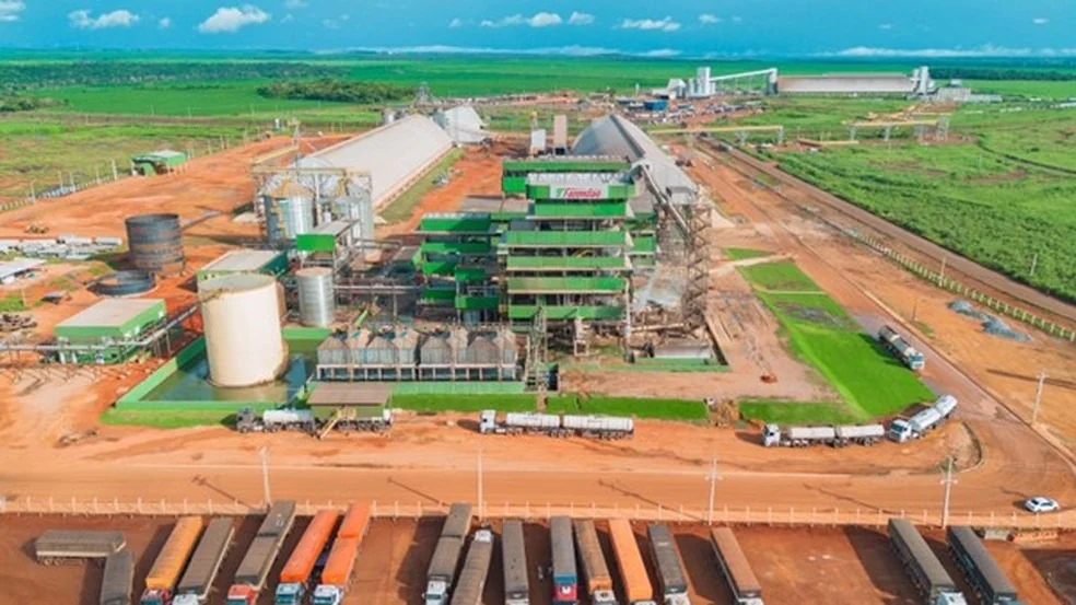 Expansão da soja no Tocantins evidência papel estratégico das agroindústrias na absorção da safra