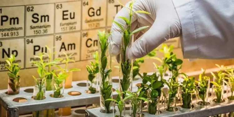 China libera estoques de fertilizantes para reduzir impactos de tensão no Oriente Médio