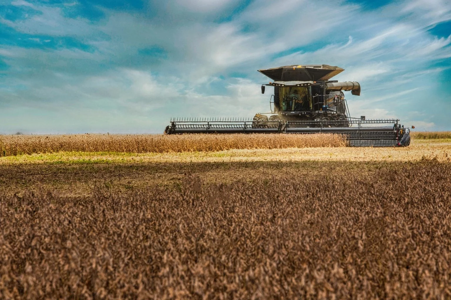 IBGE projeta crescimento da produção de soja na safra 2025/26