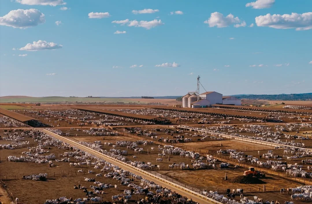 Suspeito de desviar R$ 10 milhões de fazenda tinha salário de R$ 26 mil, aponta investigação