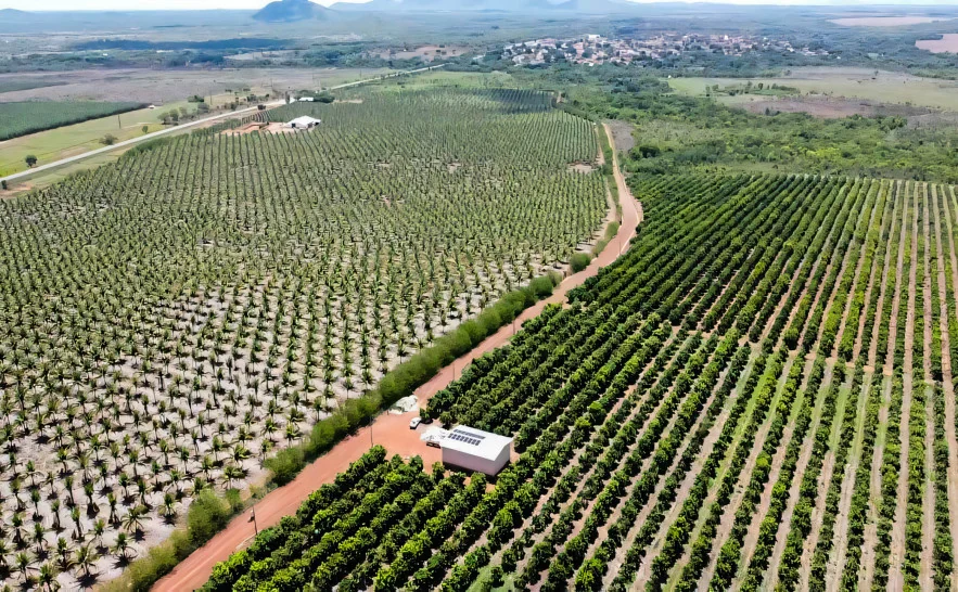 Projetos de irrigação reforçam potencial agrícola do Tocantins na Agrotins 2026