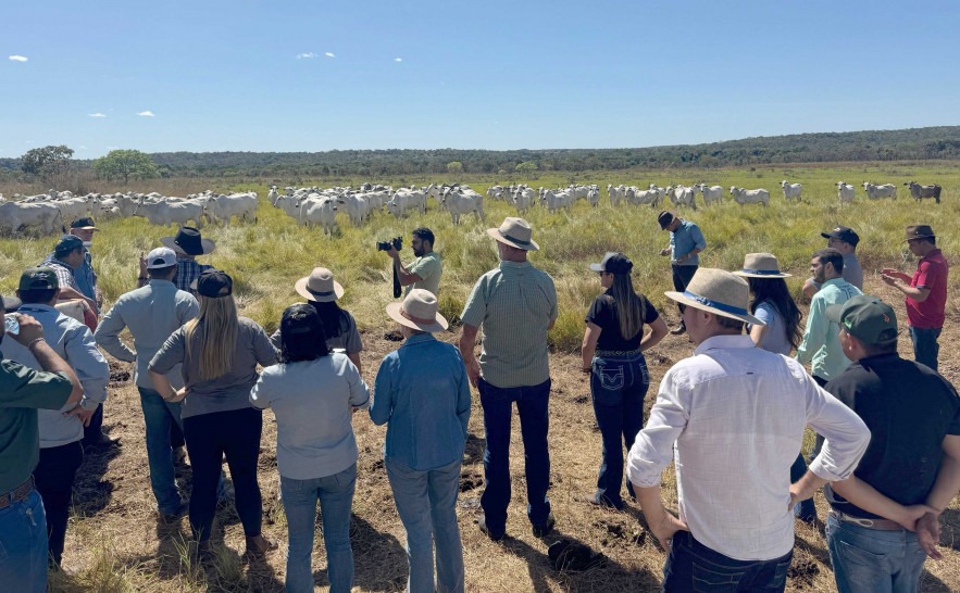 Rota da Pecuária percorrerá fazendas no Tocantins e Goiás para apresentar inovações na produção de carne
