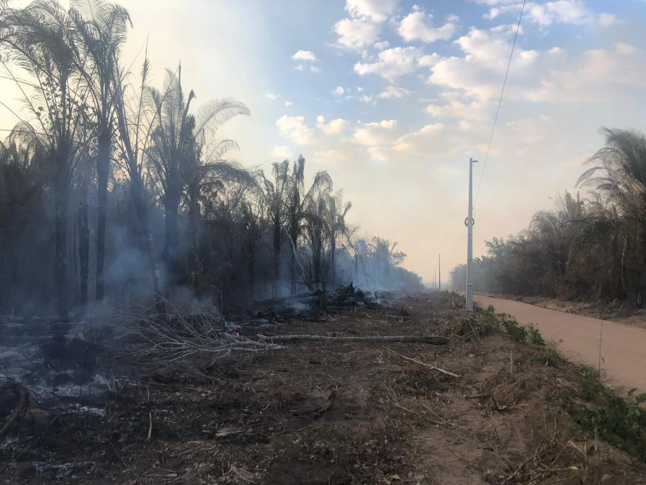 Calor, seca e queimadas: Tocantins entra em período de atenção com o El Niño