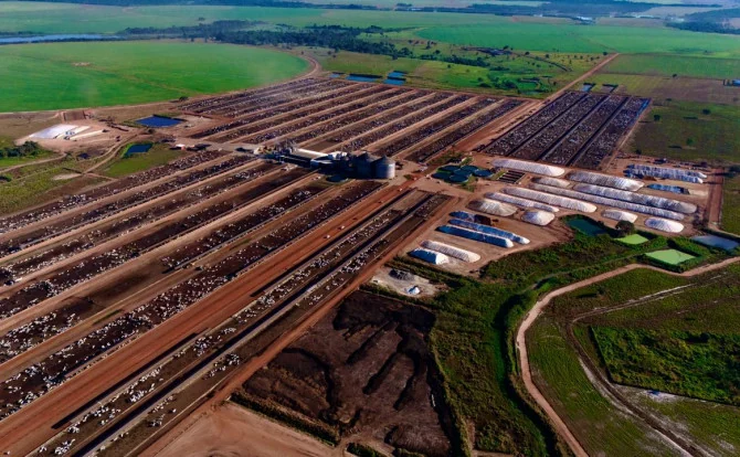 Rota da Pecuária leva produtores a conhecer tecnologias de ponta em confinamento bovino