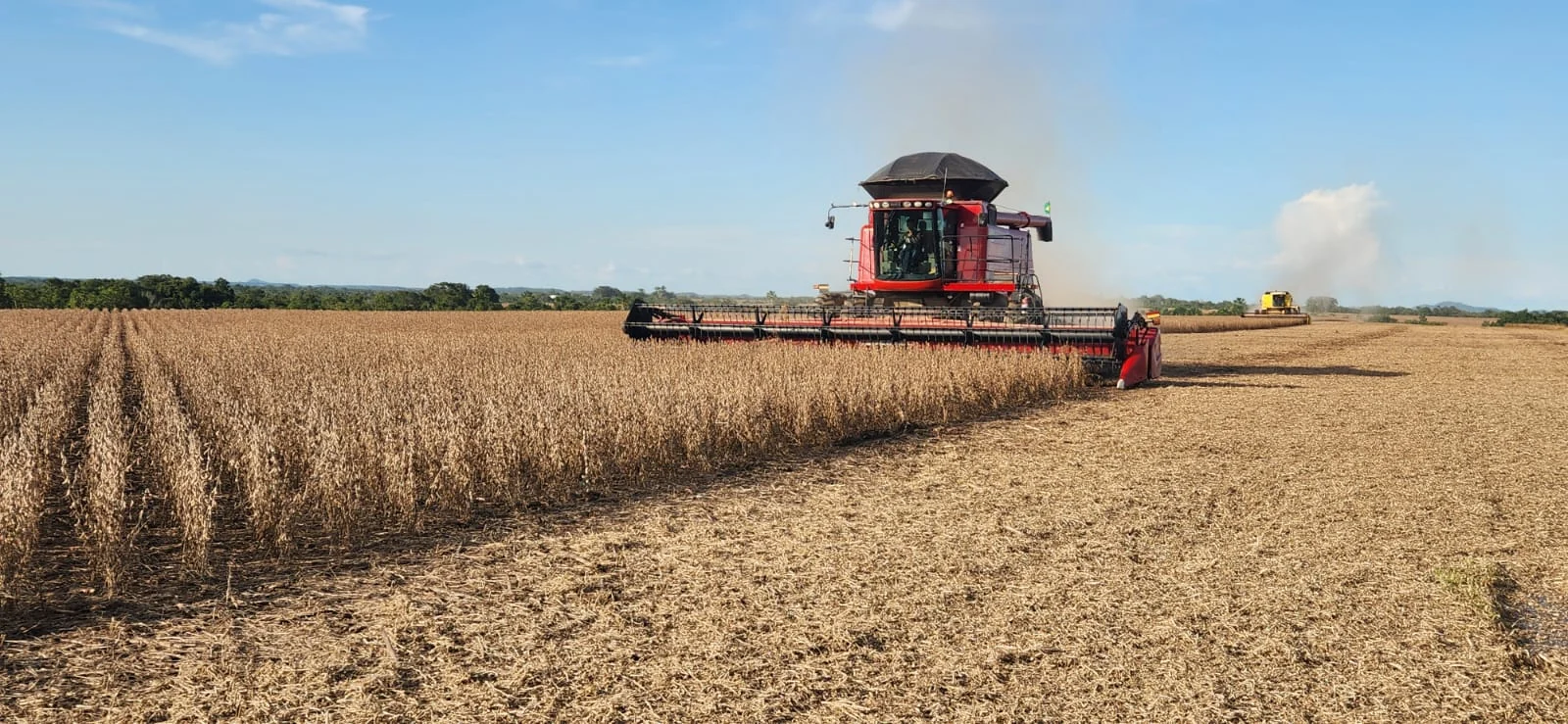 Tocantins deve produzir quase 10 milhões de toneladas de grãos e impulsiona avanço do Matopiba na safra 2025/26, segundo Conab