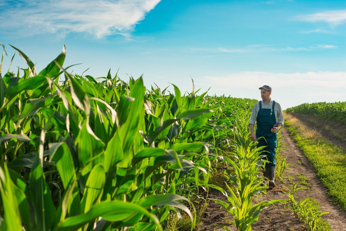 Aprosem promove capacitação sobre os impactos da Reforma Tributária no agronegócio